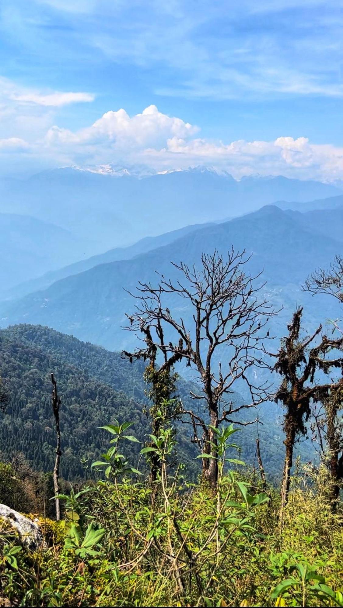 House Of Nomad Vandrehjem Gangtok Eksteriør billede